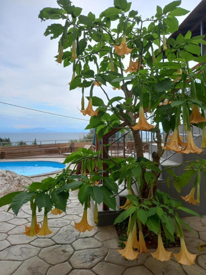 Seven Keys Luxury Suites Achílleion Buitenkant foto